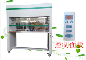 雙人凈化工作臺，雙人潔凈工作臺，噴漆工作臺，雙人工作臺